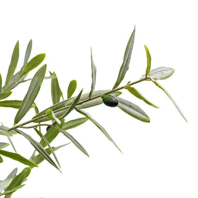 Grande Faux Olive Tree Real Touch Green (210cmH)
