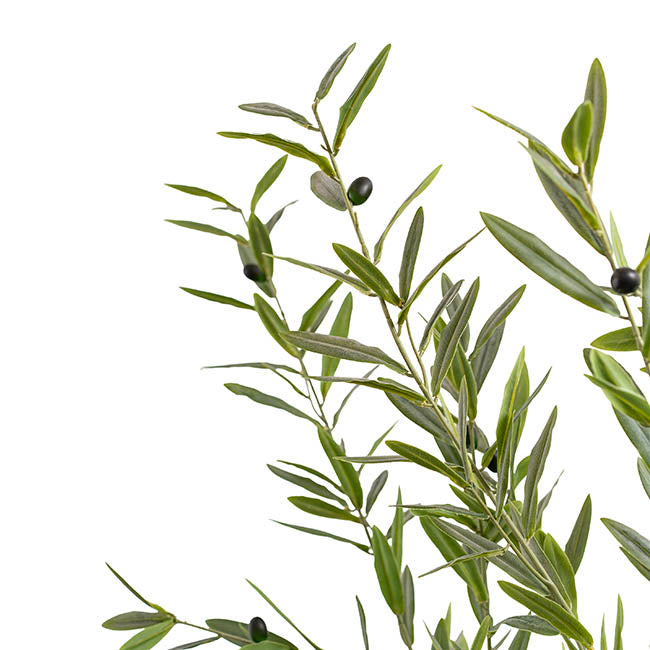 Grande Faux Olive Tree Real Touch Green (210cmH)
