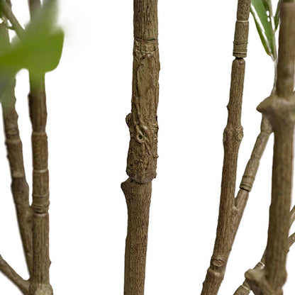 Grande Faux Olive Tree Real Touch Green (210cmH)