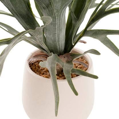 Staghorn Potted Plant Green (65cmH)