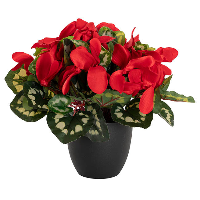Faux Cyclamen Potted Red (34cmH)