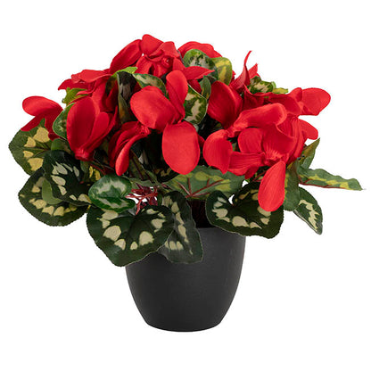 Faux Cyclamen Potted Red (34cmH)