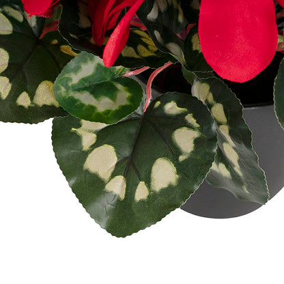 Faux Cyclamen Potted Red (34cmH)