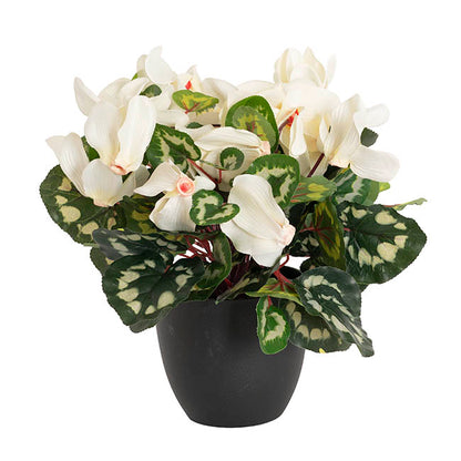 Faux Cyclamen Potted White (34cmH)
