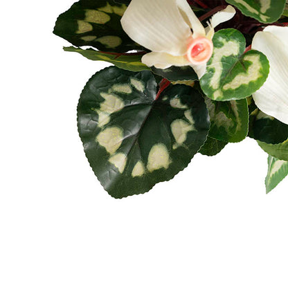 Faux Cyclamen Potted White (34cmH)