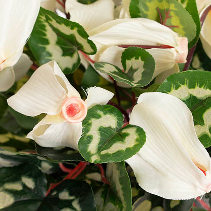 Faux Cyclamen Potted White (34cmH)