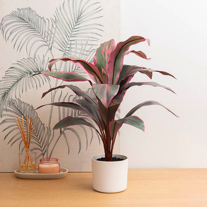 Real Touch Faux Cordyline Plant Potted Red (65cmH)
