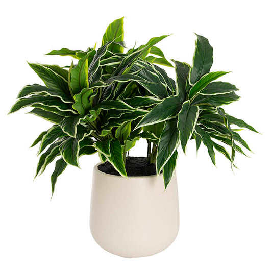 Real Touch Faux Dieffenbachia Plant Potted Green (60cmH)