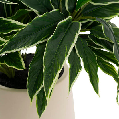 Real Touch Faux Dieffenbachia Plant Potted Green (60cmH)