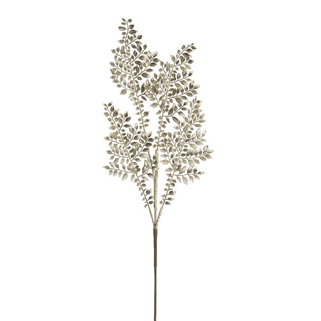 Boxwood Leaf Spray Champagne (83cmH)