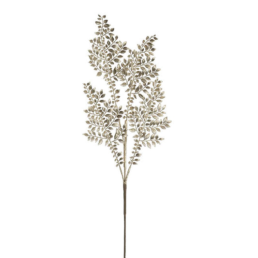 Boxwood Leaf Spray Champagne (83cmH)
