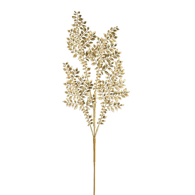 Boxwood Leaf Spray Gold (83cmH)