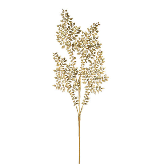 Boxwood Leaf Spray Gold (83cmH)