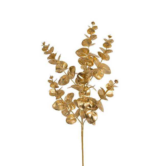 Eucalyptus Leaf Spray Gold (62cmH)