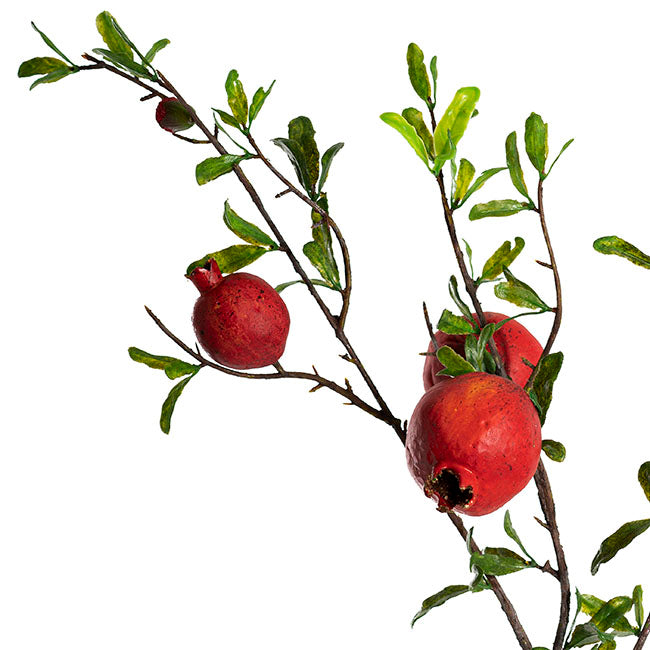 Pomegranate Spray Red (78cmH)
