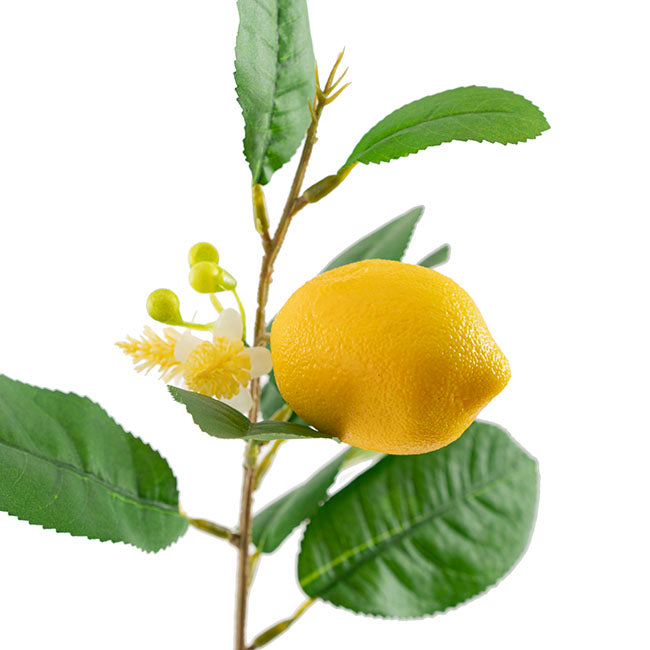 Lemon Spray Yellow (42cmH)