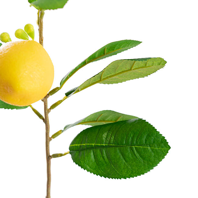 Lemon Spray Yellow (42cmH)