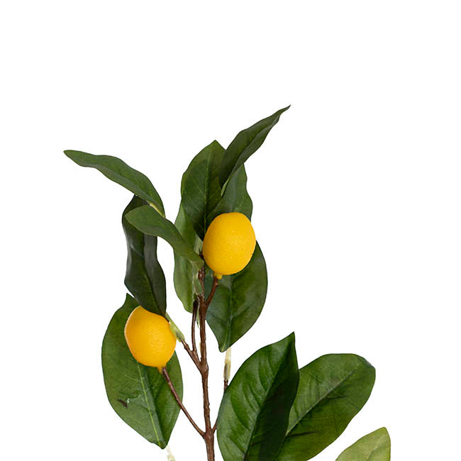 Lemon Branch Spray Yellow (89cmH)