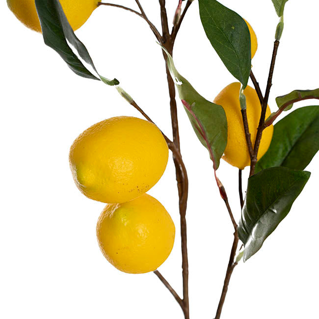Lemon Branch Spray Yellow (89cmH)