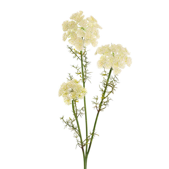 Lace Flower Spray White (73cmH)