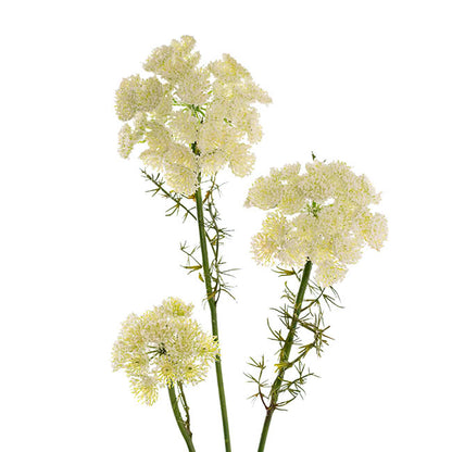 Lace Flower Spray White (73cmH)