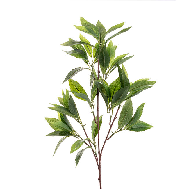 Laurel Leaf Spray Green (50cmH)