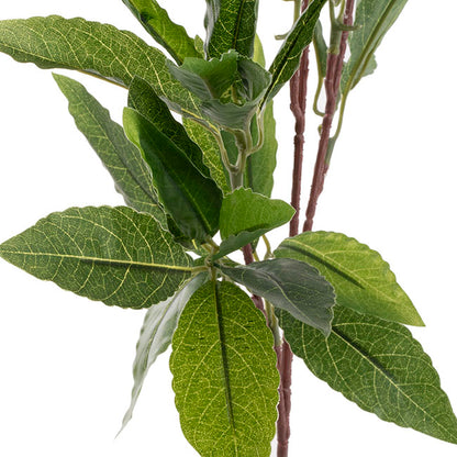 Laurel Leaf Spray Green (50cmH)