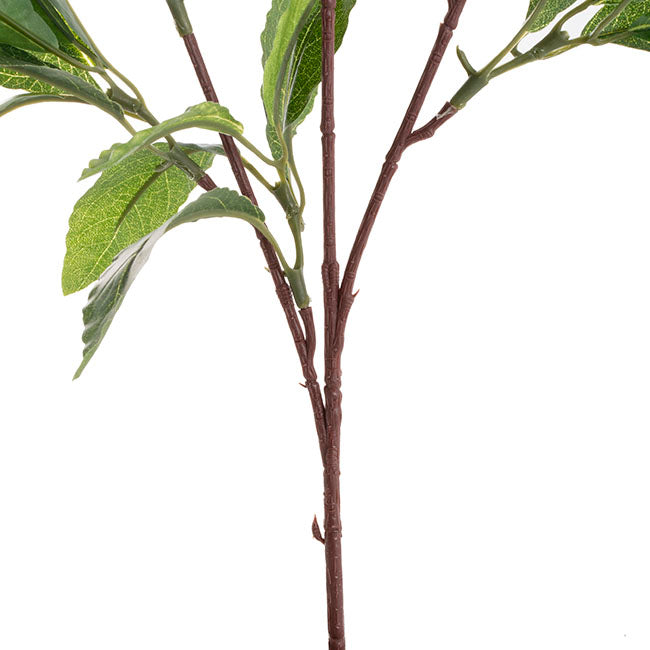 Laurel Leaf Spray Green (50cmH)