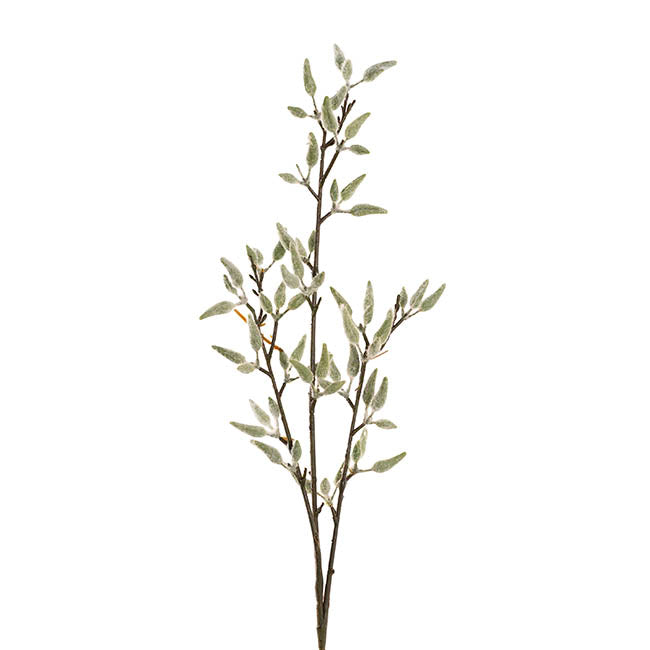 Pussy Willow Spray Pale Green (83cmH)