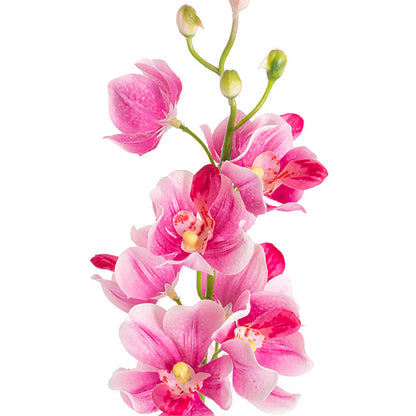 Mokara Orchid Spray Hot Pink (49cmH)