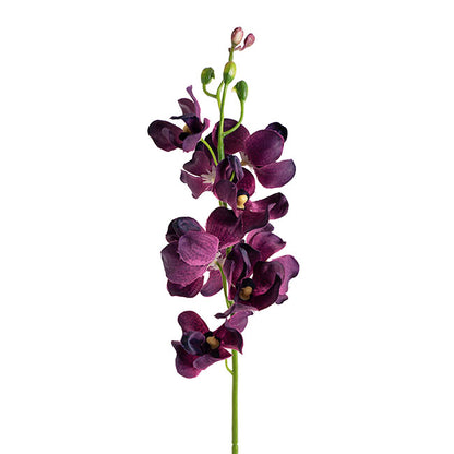 Mokara Orchid Spray Purple (49cmH)