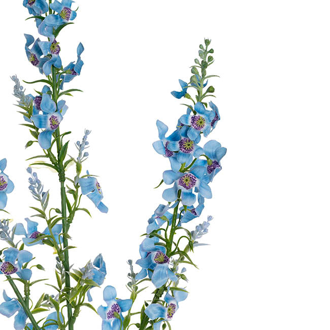 Catmint Spray Blue (75cmH)