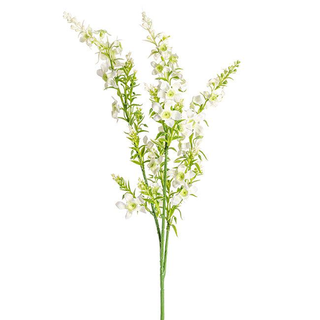 Catmint Spray Cream (75cmH)