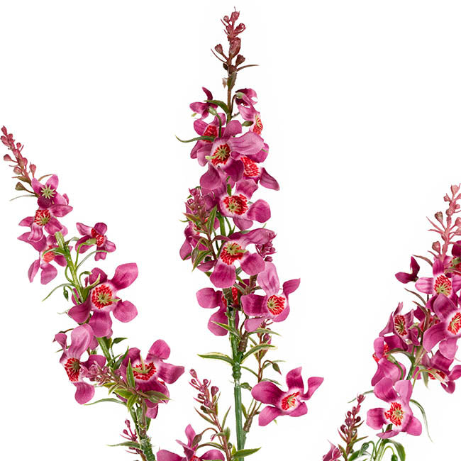 Catmint Spray Red (75cmH)