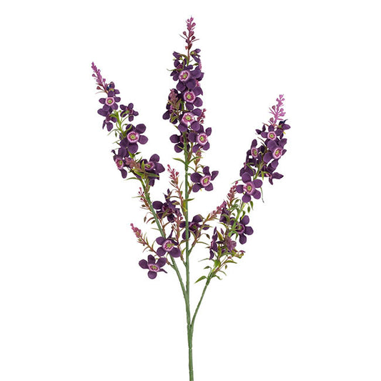 Catmint Spray Violet Purple (75cmH)