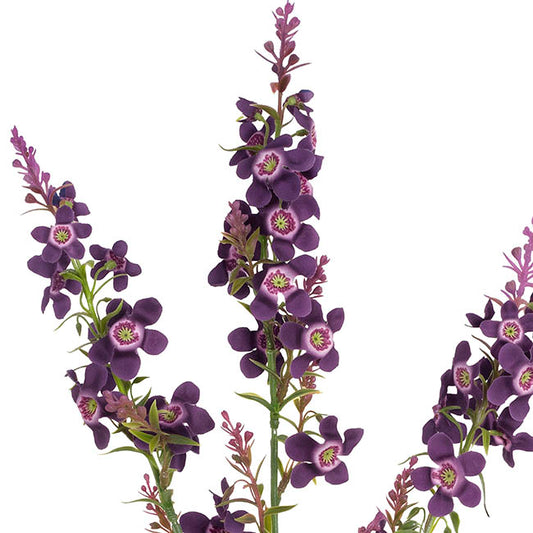 Catmint Spray Violet Purple (75cmH)