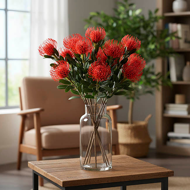 Native Leucospermum Red (61cmH)