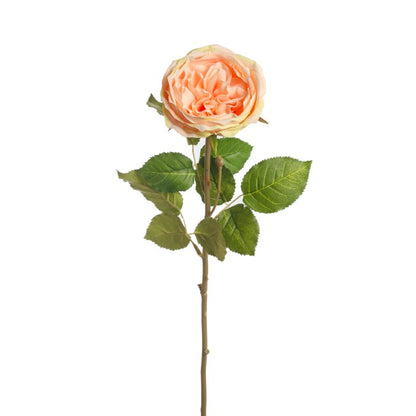 Grace Garden Rose Stem Dusty Peach (76cmH)