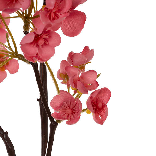 Cherry Blossom Spray Pink (80cmH)