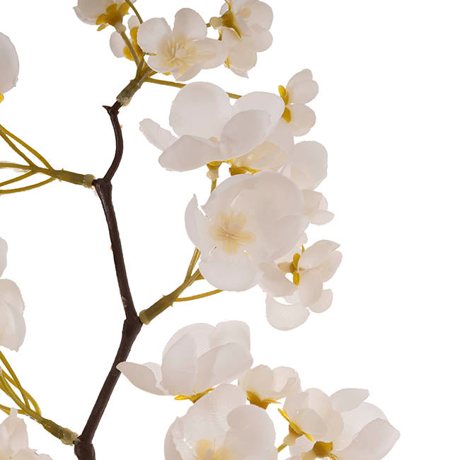 Cherry Blossom Spray White (80cmH)