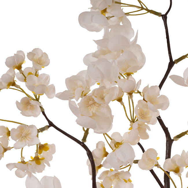 Cherry Blossom Spray White (80cmH)