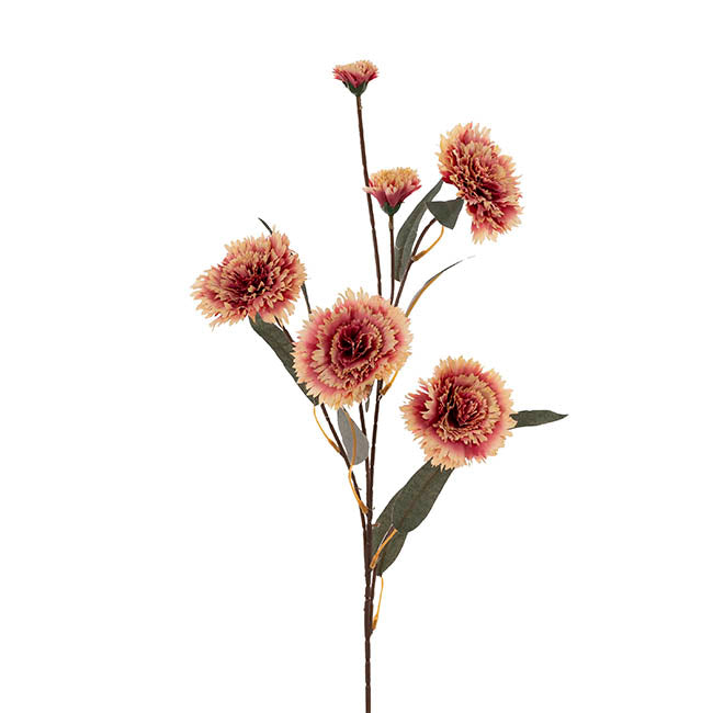 Dianthus Flower Spray Beige Pink (75cmH)