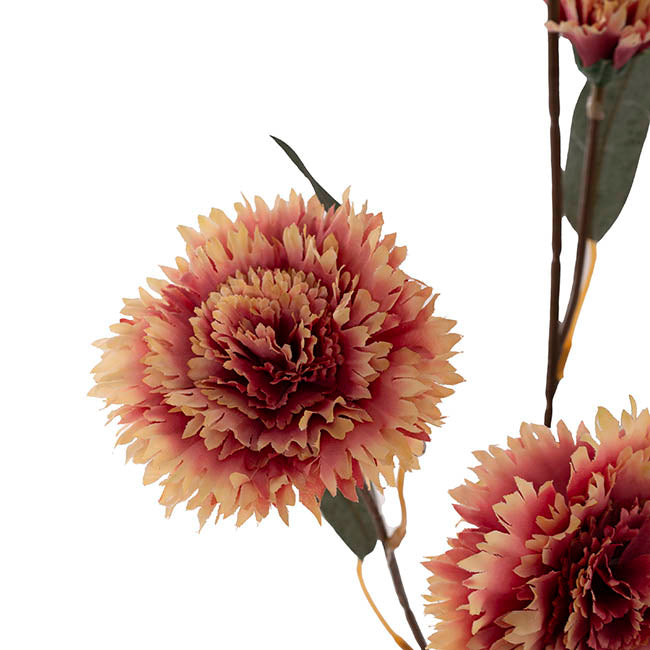 Dianthus Flower Spray Beige Pink (75cmH)