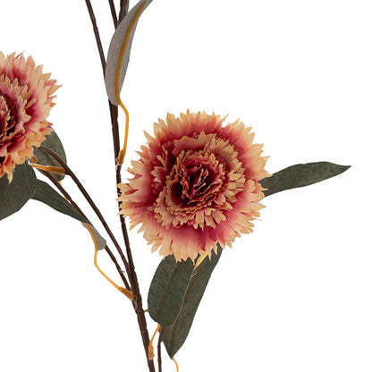 Dianthus Flower Spray Beige Pink (75cmH)