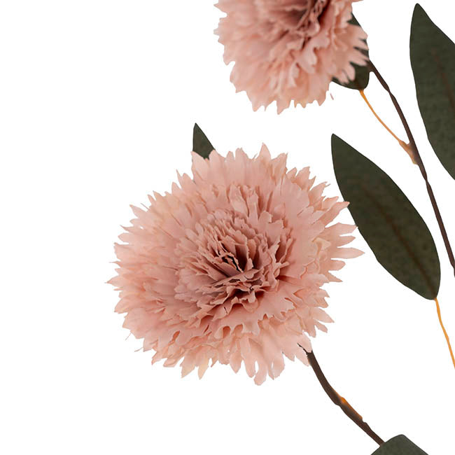 Dianthus Flower Spray Soft Pink (75cmH)