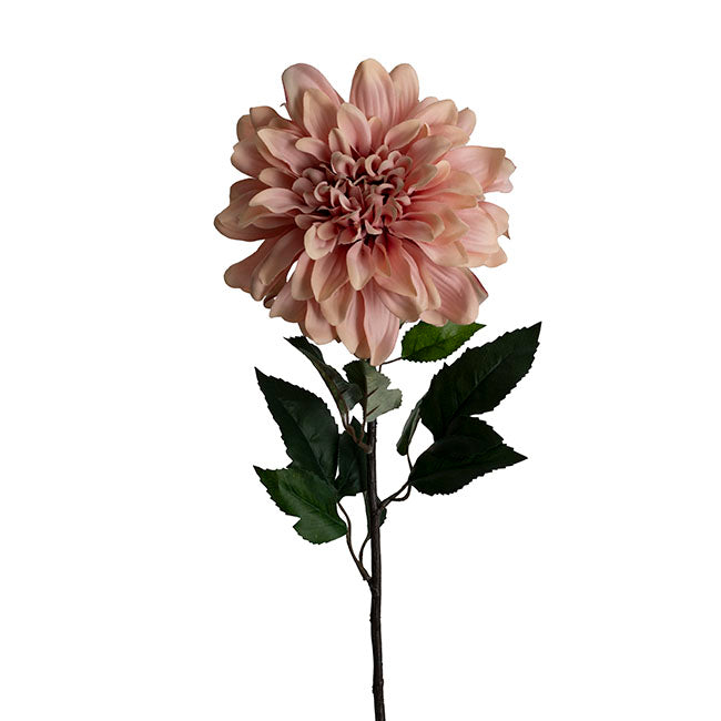 Dahlia Long Stem w Lge Flower Head Blush Pink (19cmDx80cmH)
