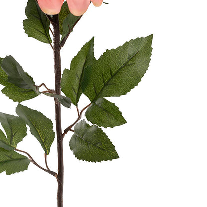 Dahlia Long Stem w Lge Flower Head Peach (19cmDx80cmH)