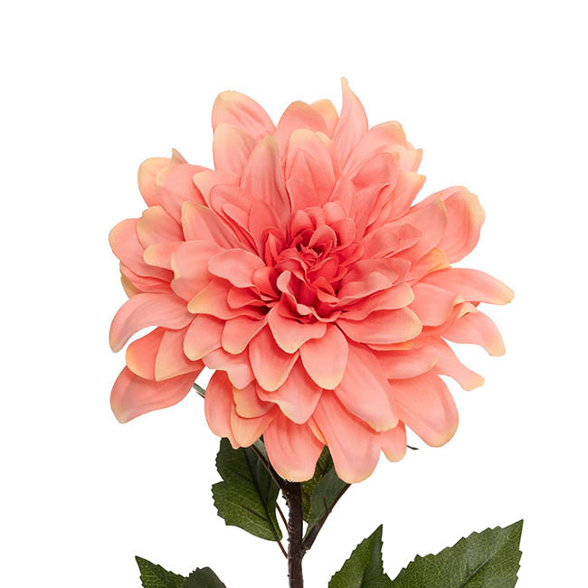 Dahlia Long Stem w Lge Flower Head Peach (19cmDx80cmH)