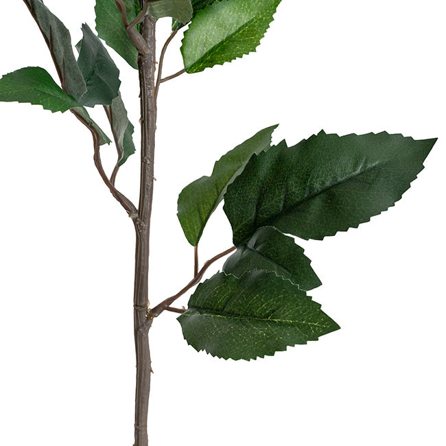 Dahlia Long Stem w Lge Flower Head White (19cmDx80cmH)