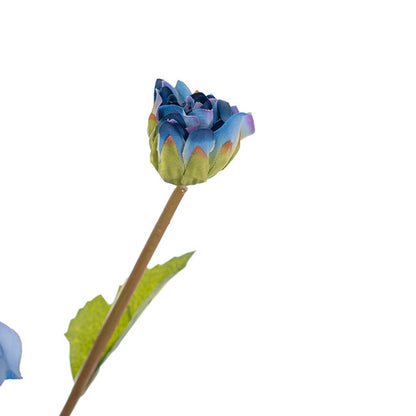 Dahlia Stem Mystic Blue (53cmH)